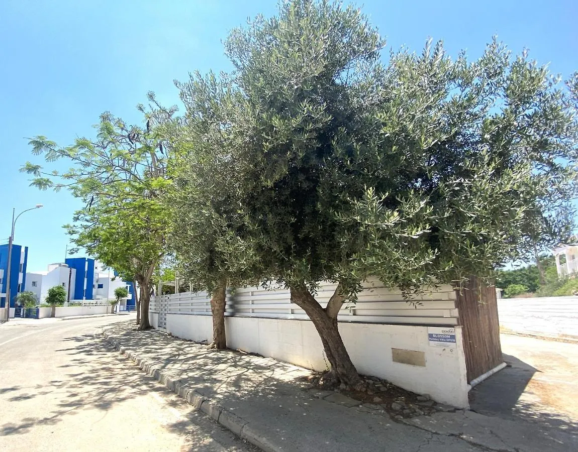 بيت للعطل Blossom Holiday Villa Dps18 بروتاراس